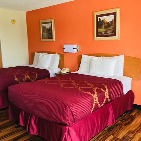 Bear Mount Inn & Suites Pigeon Forge Værelse billede